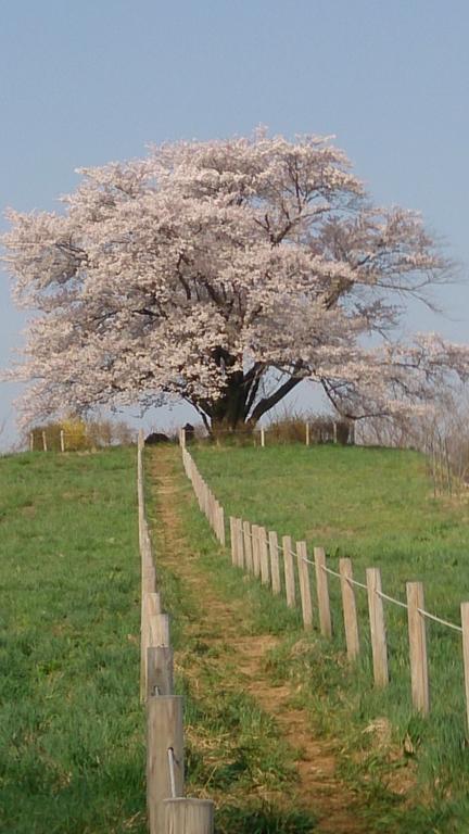 Active Resorts Iwate Hachimantai Hachimantai  Luaran gambar